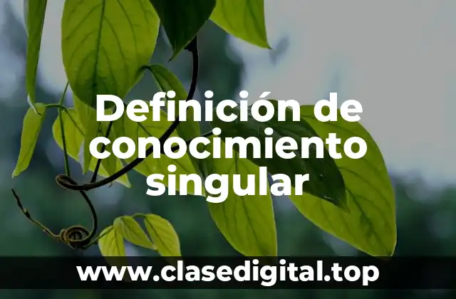 Ejemplos de conocimiento singular
