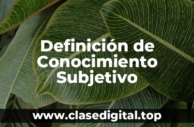 Definición de Conocimiento Subjetivo