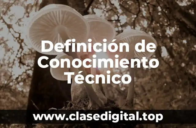 Definición Técnica de Conocimiento Técnico