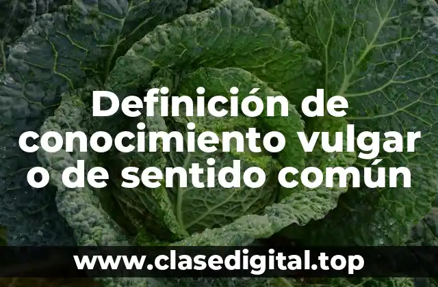 Definición de conocimiento vulgar o de sentido común