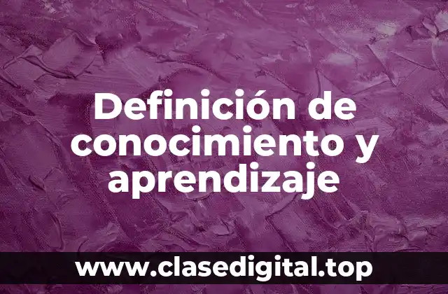 Definición técnica de conocimiento y aprendizaje