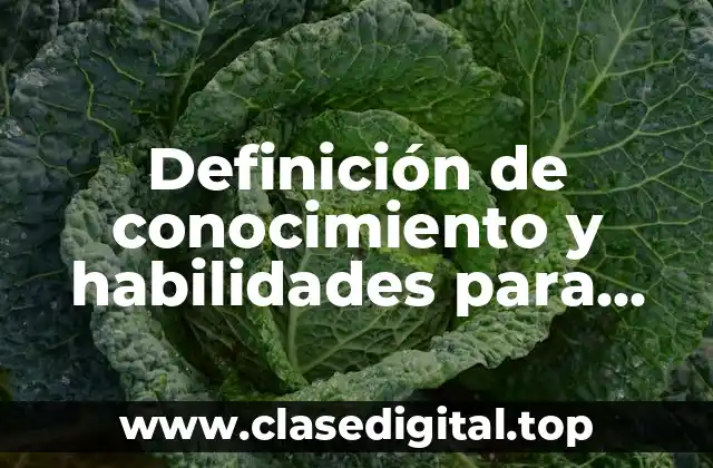 Definición de conocimiento y habilidades para selección de personal