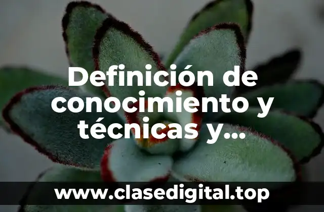 Definición de conocimiento y técnicas y fenomenología social