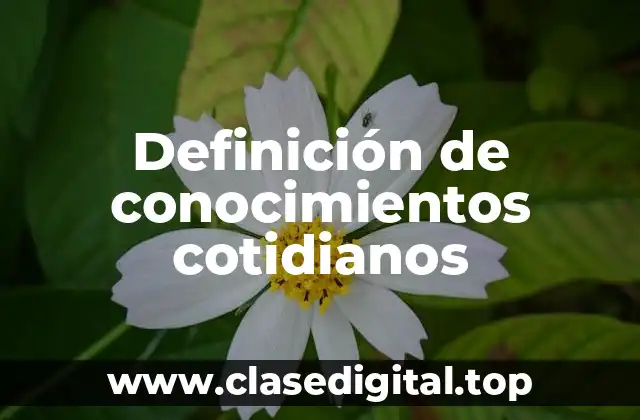 Definición de conocimientos cotidianos