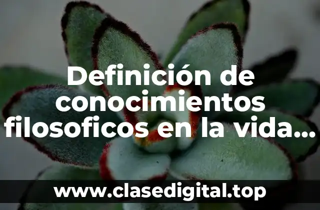 Definición de conocimientos filosoficos en la vida cotidiana