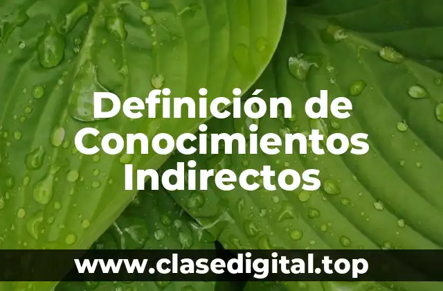 Definición de Conocimientos Indirectos