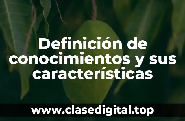 Definición de conocimientos y sus características