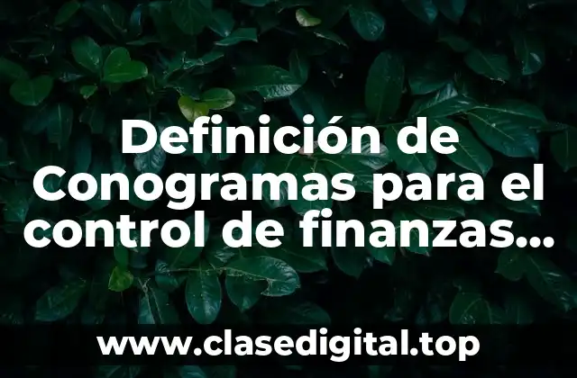Definición de Conogramas para el control de finanzas en investigación