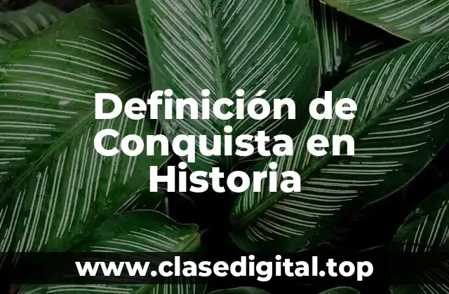 Definición de Conquista en Historia