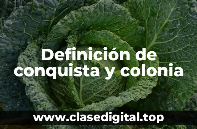 Definición de conquista y colonia