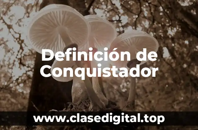 Definición de Conquistador