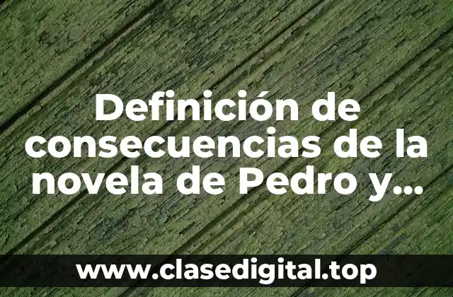 Definición de consecuencias de la novela de Pedro y Juan