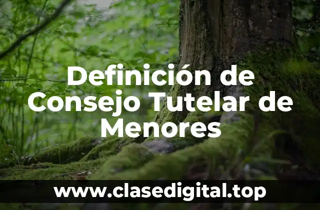 Definición de Consejo Tutelar de Menores
