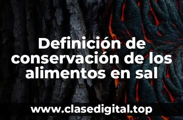 Definición técnica de conservación de los alimentos en sal