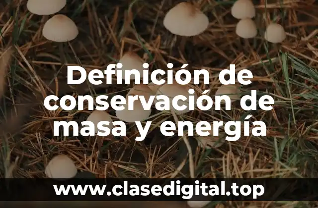 Ejemplos de conservación de masa y energía
