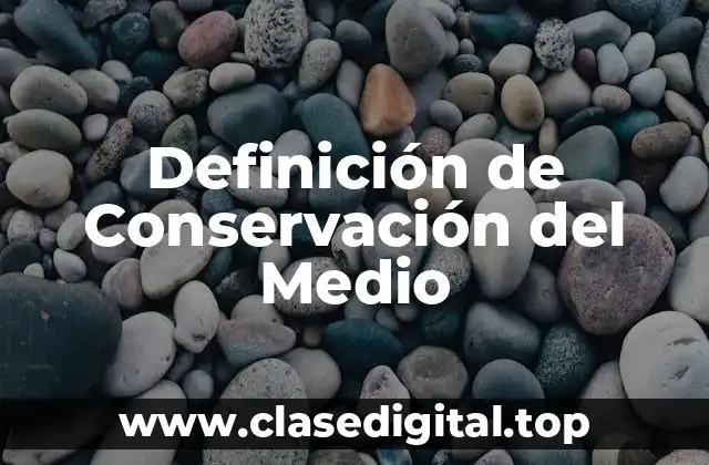 Definición de Conservación del Medio