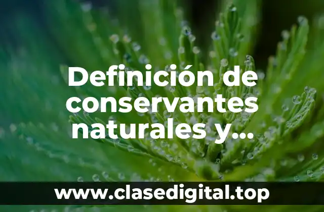Definición de conservantes naturales y artificiales