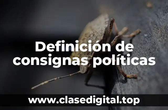 Definición de consignas políticas