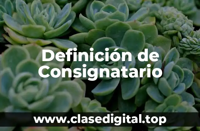 Definición de Consignatario