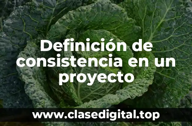 Definición de consistencia en un proyecto
