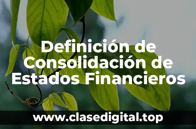 Definición de Consolidación de Estados Financieros