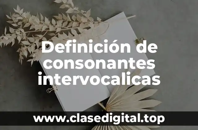 Definición de consonantes intervocalicas