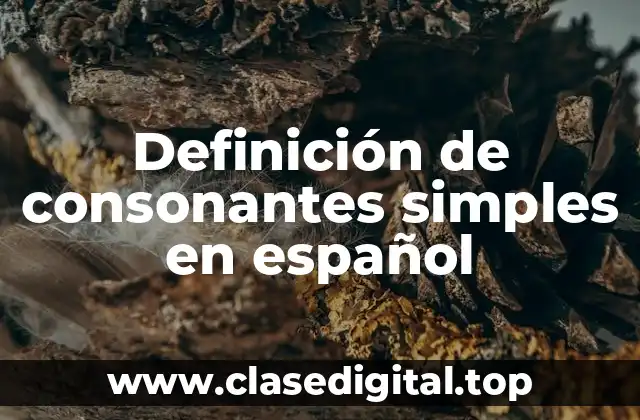 Ejemplos de consonantes simples en español