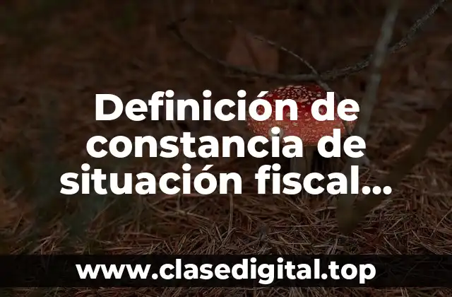 Definición de constancia de situación fiscal INFOVIT
