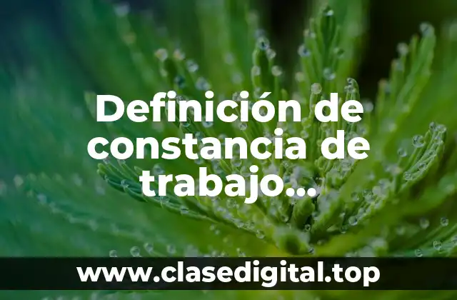 Definición de constancia de trabajo independiente