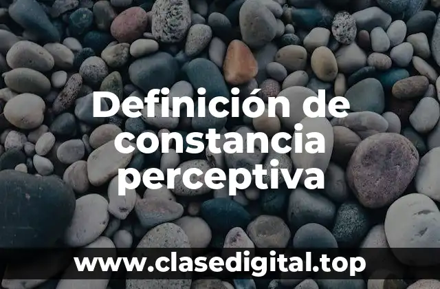 Definición técnica de constancia perceptiva