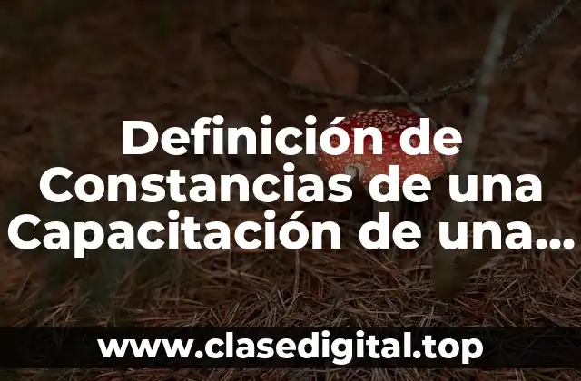 Definición de Constancias de una Capacitación de una empresa