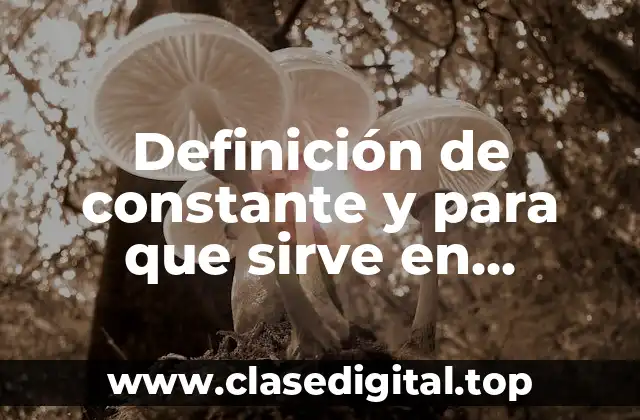 Definición de constante y para que sirve en programación