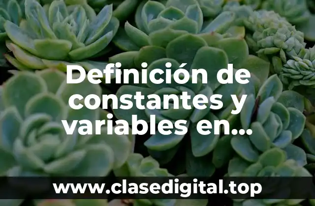 Definición técnica de constantes y variables