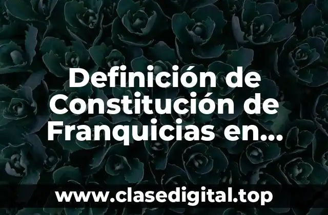 Definición de Constitución de Franquicias en México