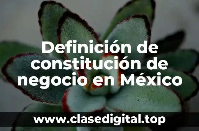 Definición de constitución de negocio en México