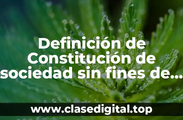 Definición de Constitución de sociedad sin fines de lucro