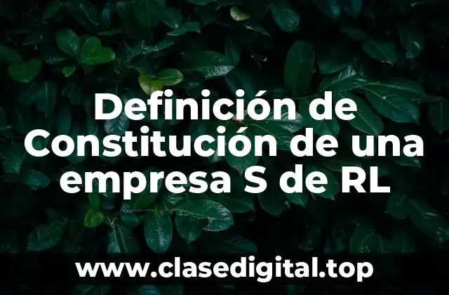 Definición de Constitución de una empresa S de RL