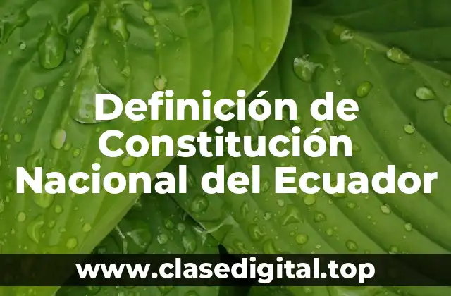 Definición de Constitución Nacional del Ecuador