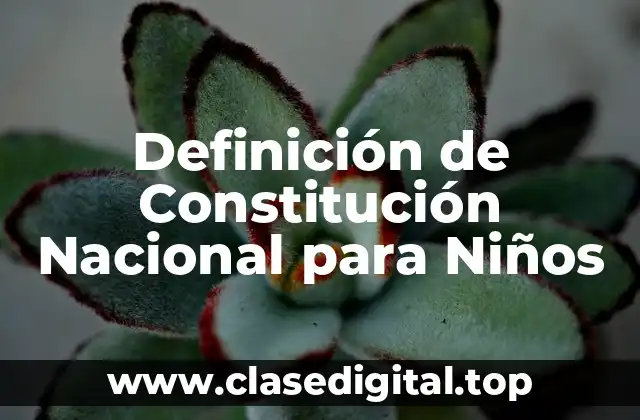 Definición de Constitución Nacional para Niños