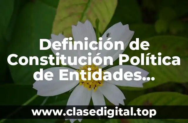 Definición de Constitución Política de Entidades Federativas