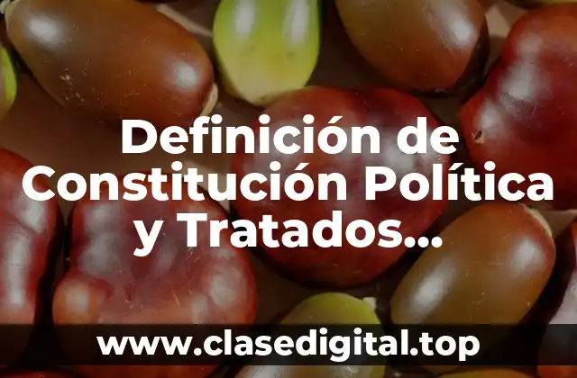 Ejemplos de Constitución Política