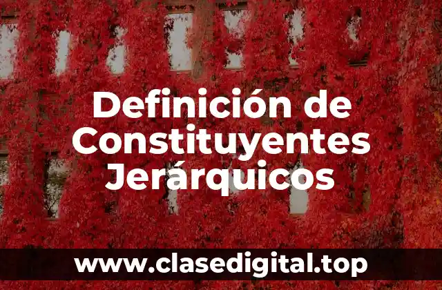 Definición de Constituyentes Jerárquicos