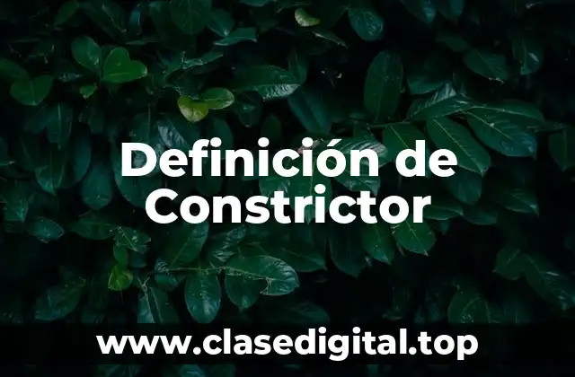 Definición de Constrictor