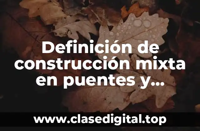 Definición de construcción mixta en puentes y viaductos