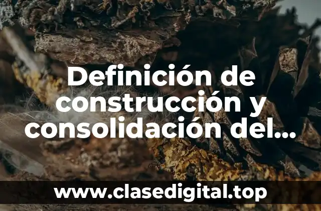 Definición de construcción y consolidación del estado