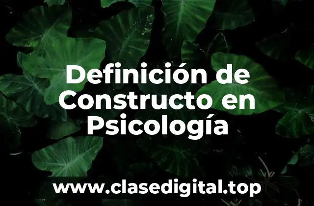 Definición de Constructo en Psicología