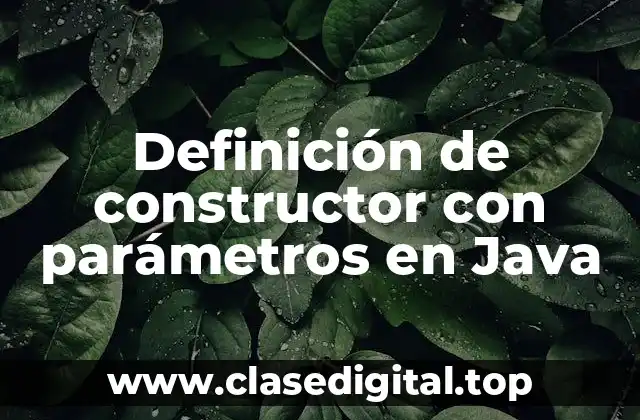 Definición de constructor con parámetros en Java