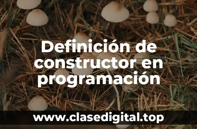 Definición de constructor en programación