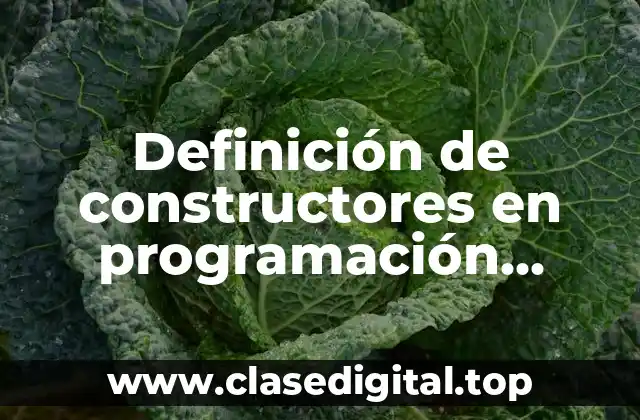 Definición de constructores en programación orientada a objetos