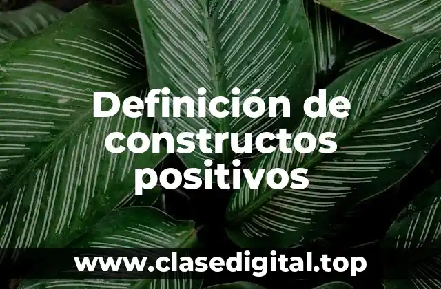 Definición de constructos positivos